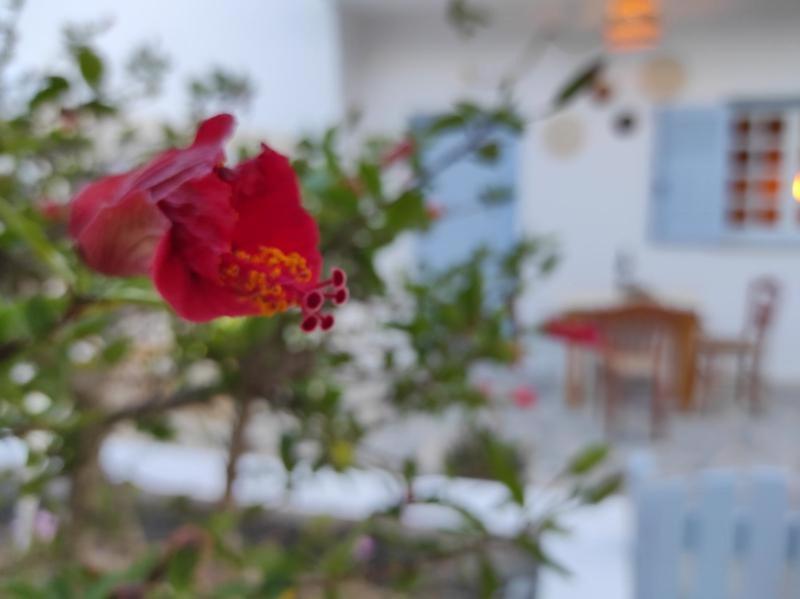 Olive Grove Soulis Family Estate Villa Porto Heli Ngoại thất bức ảnh
